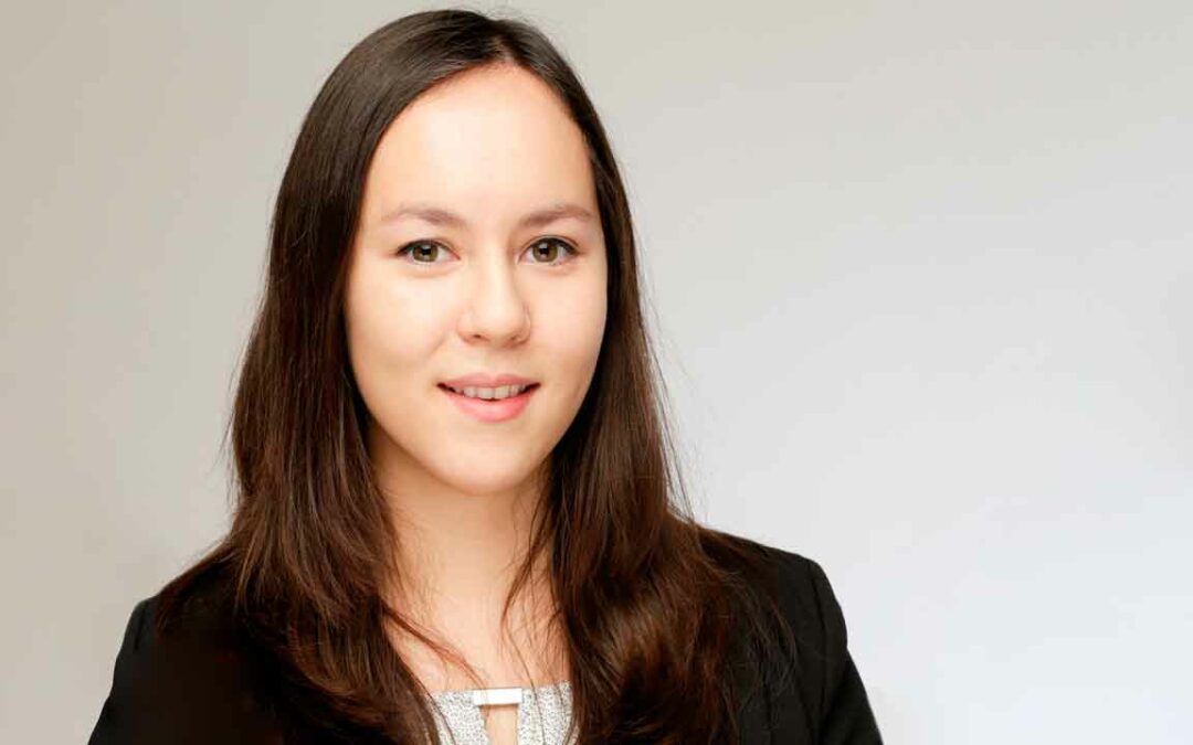 Neu im »Silicon Economist’s Blog«: Plattform-Typologie aus Sicht der Wissenschaft