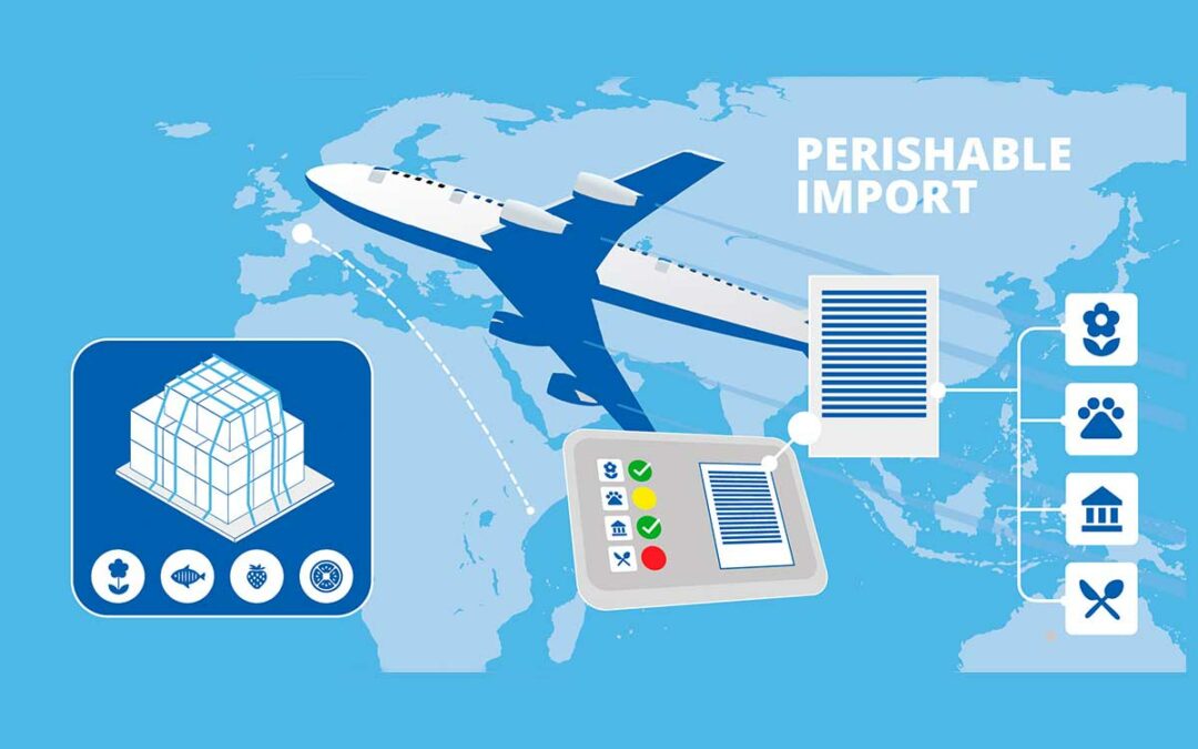 Workflow für Import-Agenten vereinfacht: Silicon Economy hebt mit »Perishable«-Dashboard ab