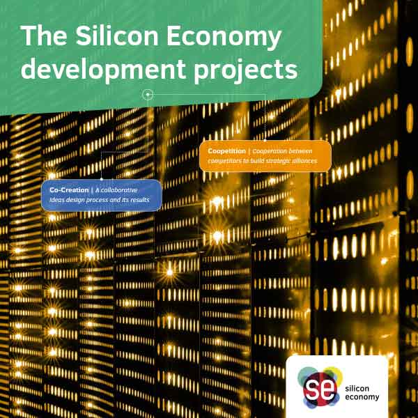 Broschüre Entwicjlungsprojekte der Silicon Economy