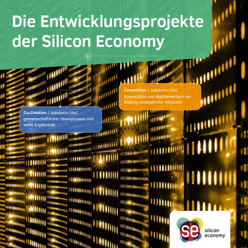 Broschüre Entwicjlungsprojekte der Silicon Economy